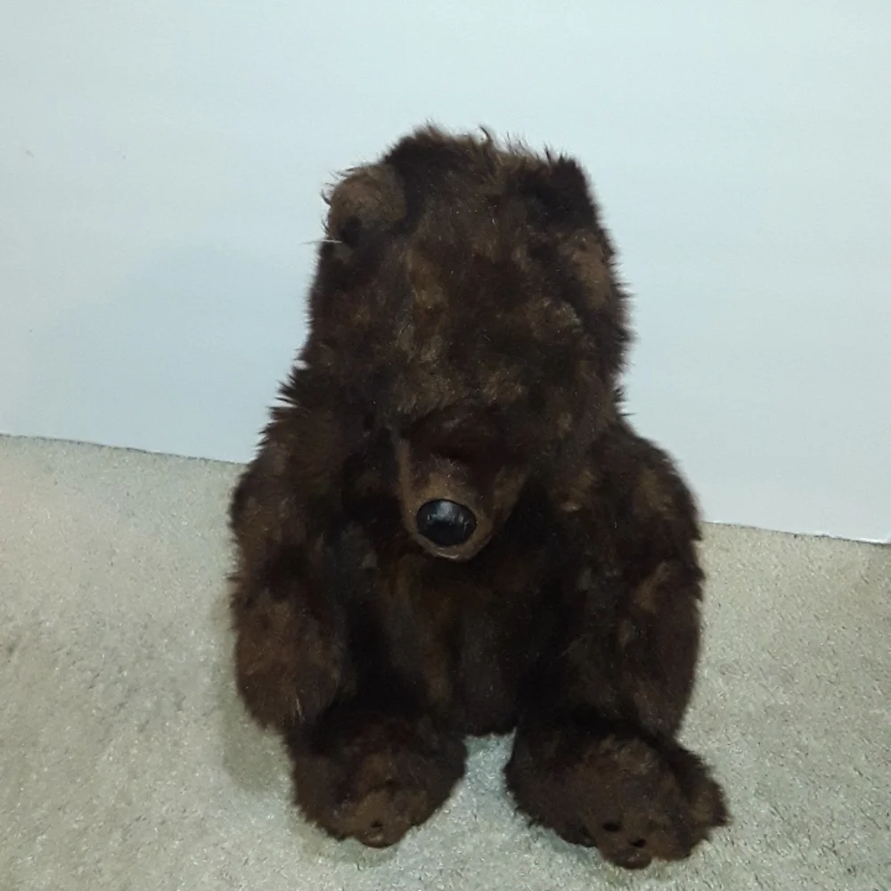 RARE VINTAGE DISNEY PARKS DISNEYLAND COUNTRY BEAR 16
